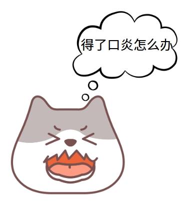 猫口炎治疗攻略:药物护理双管齐下