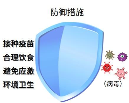 猫鼻支困扰?探究彻底治愈之道!