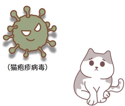 猫疱疹病毒虽不能根除，但也不可怕！