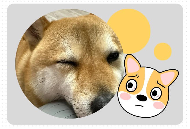 狗狗眼睛发红睁不开是怎么回事？破案了！