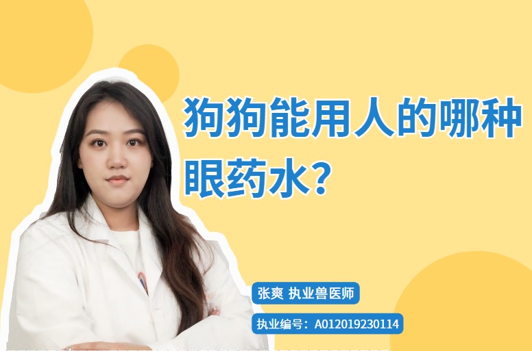 狗狗能用人的哪种眼药水？
