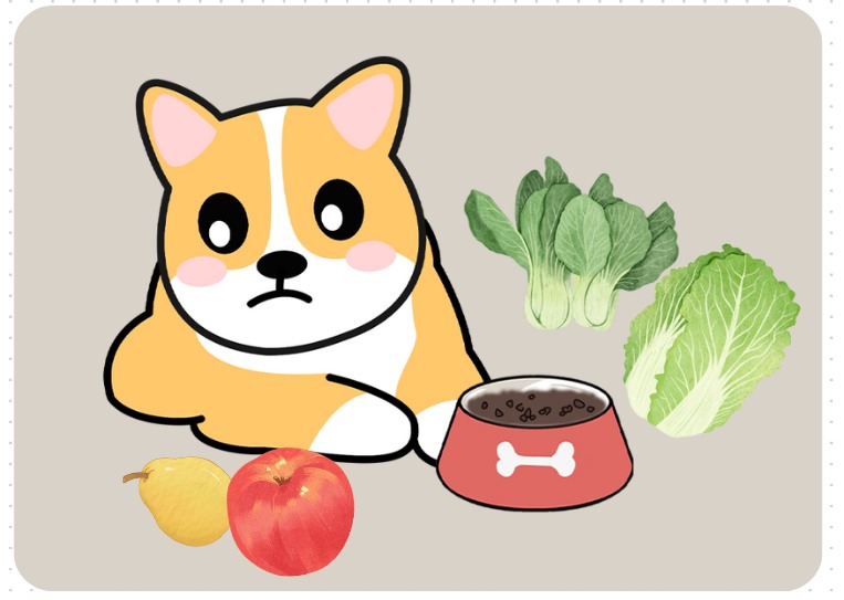 狗狗泪痕严重怎么治?