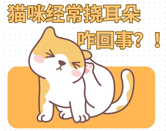 猫咪经常挠耳朵怎么回事?