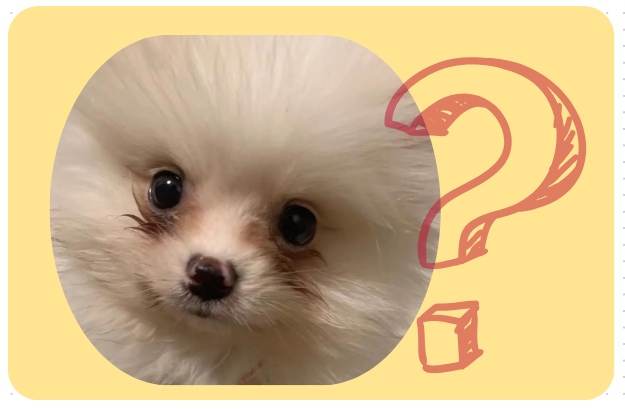 狗狗有泪痕吃什么药好得快?