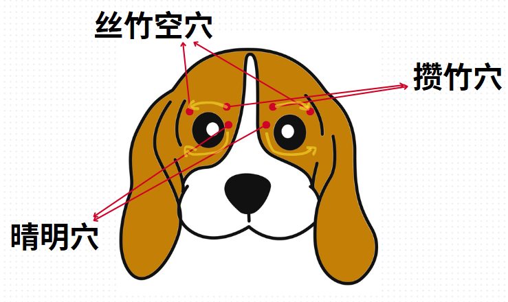 狗狗有泪痕怎么办?