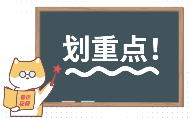 猫眼睛总是流眼泪怎么办?