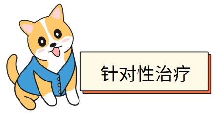 狗狗牙龈红肿出血发臭，快速处理方法