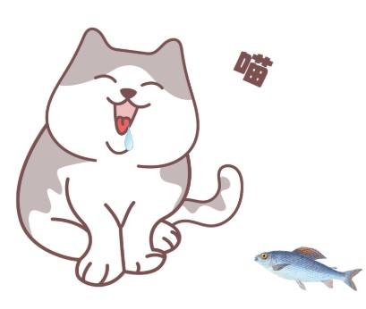 注意!猫咪流口水可能是这些原因