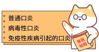 猫咪口炎怎么办？教你快速解决！