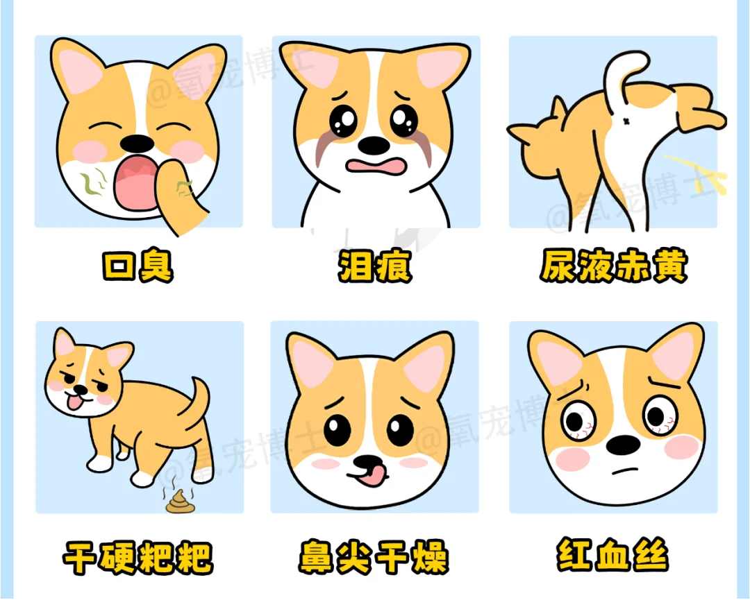 狗狗上火有眼屎吃什么药?