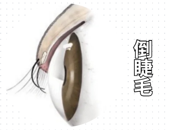 小狗流眼泪怎么回事?