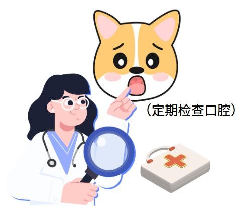 狗狗口臭严重?试试这几种特效药物