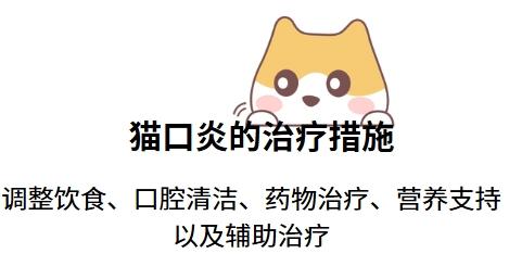 猫咪口炎必选药物,快速缓解疼痛!