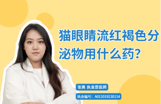 猫眼睛流红褐色分泌物用什么药？