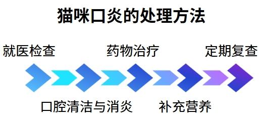 猫咪口炎如何科学用药?