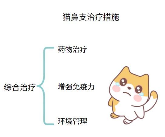 猫杯状病毒治疗，科学步骤