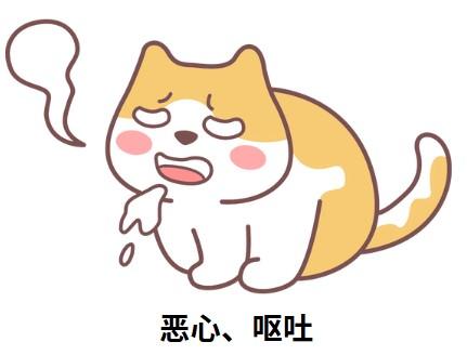 猫咪口臭难闻?一文读懂病因