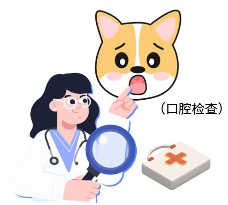 猫咪口腔溃烂恶臭?快学习这些拯救妙招!