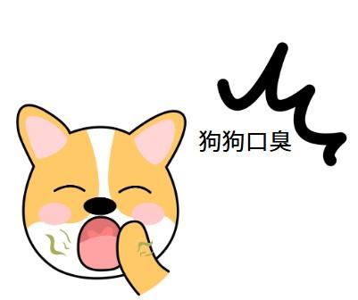 狗狗口臭熏天，这可一刻都忍不了！狗狗口臭通常与口腔健康问题有关，当然，也有可能是其他疾病的症状表现。因此，狗狗口臭不仅是臭那么简单，还可能威胁着狗狗的健康。因此，当出现这种情况时，一定要立即干预。以下是一些常用的处理方法：  1、‌口腔问题‌：牙龈炎、牙周炎、牙结石等都是狗狗常见的口腔疾病，且都会导致狗狗口臭。牙垢和牙结石等很容易滋生细菌，从而散发臭味。 应对措施：定期给狗狗刷牙，特别是1岁半以上的狗狗，每周至少刷一次。记得用狗狗专用的牙刷和牙膏。如果狗狗有牙结石，那就得带它去宠物医院做洁牙手术。如果狗狗患有牙龈炎、牙周炎等口腔疾病，通常需要进行消炎处理，比如使用卡妥利（甲硝唑片）、乐口宁喷剂等来缓解狗狗减轻狗狗的口腔炎症。 2、‌消化系统问题‌：狗狗的消化系统如果出现问题，比如缺乏消化酶或维生素不足，也可能导致口臭。 应对措施：给狗狗吃点富含维生素和纤维的食物，比如新鲜蔬菜和水果。还可以适当地给狗狗补充一些活性益生菌，调理一下肠胃。  3、‌食物残渣‌：狗狗吃完东西后，食物残渣留在口腔里，长时间不清理，细菌分解就会产生异味。 应对措施：及时帮狗狗清洁口腔，可以通过刷牙、使用漱口水来帮助去除食物残渣。同时，还可以定期给狗狗提供磨牙棒或骨头，让它在咀嚼时帮助清洁牙齿。 4、‌牙齿损伤‌：狗狗喜欢啃咬硬物，这可能导致牙齿表面损伤甚至断裂，从而为细菌提供滋生的环境。 应对措施：避免给狗狗提供太硬的玩具或骨头，如果狗狗的牙齿已经损伤，及时带它去看兽医。  ‌其他健康问题‌：比如狗狗患有糖尿病、肾脏疾病等，也可能会引发口臭。 应对措施：定期带狗狗去宠物医院做体检，及时发现并治疗潜在的健康问题。 总而言之，狗狗口臭的原因有很多，需要采取不同的应对措施。当狗狗出现口臭的现象时，主人可以先先坚持狗狗的口腔是否有其他异常，适当清洁口腔。如果狗狗持续口臭或者伴有其他异常症状，建议及时带它去宠物医院进行检查和治疗。 最后，建议各位宠主定期给狗狗做好口腔清洁，有助于减少口臭或其他口腔问题的发生。