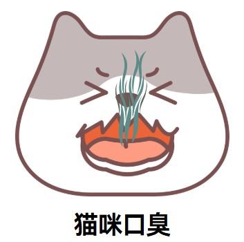 猫咪口臭?这些简单方法超有效