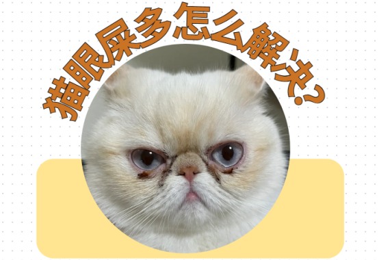 猫眼屎多怎么解决?