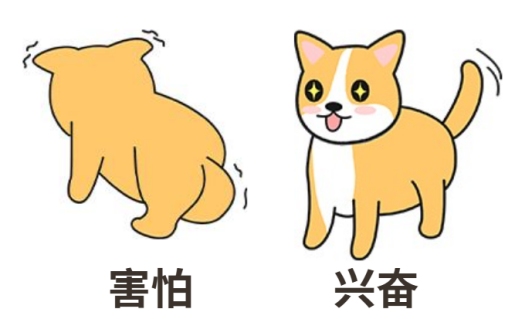 狗狗一直伸舌头喘气急促怎么回事?
