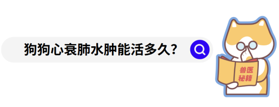 狗狗心衰肺水肿怎么治疗?