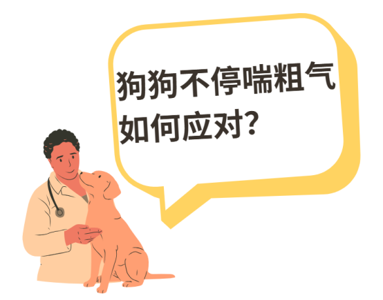 小狗呼吸急促怎么治疗?