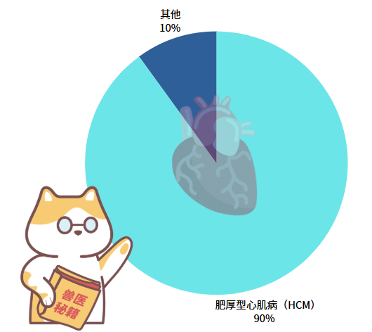 猫咪心脏有问题怎么办?
