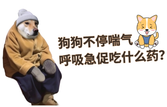 狗狗不停喘气呼吸急促吃什么药?