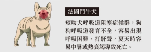 狗狗呼吸急促的原因