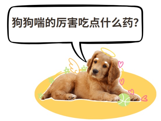 狗狗喘的厉害吃点什么药？