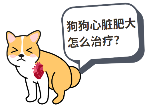 狗狗心脏肥大怎么治疗最快?