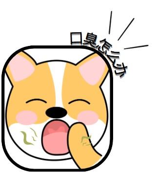 狗狗嘴里有臭味?这些原因你得知道!