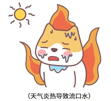 猫咪流口水不止,警惕这些隐藏疾病!
