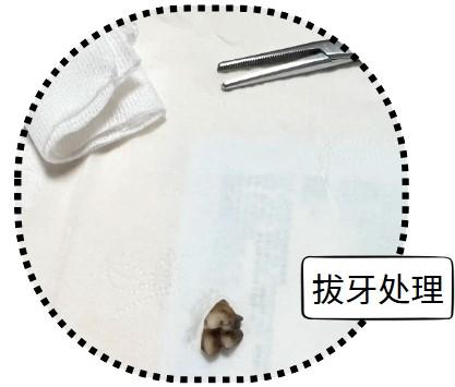 小狗牙龈发炎怎么办?这些方法轻松搞定!