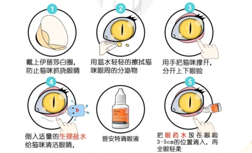 猫的眼睛睁不开有眼屎用什么药?