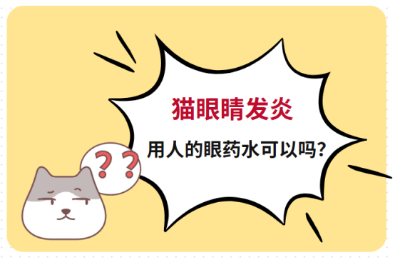 猫眼睛发炎用人的眼药水可以吗?