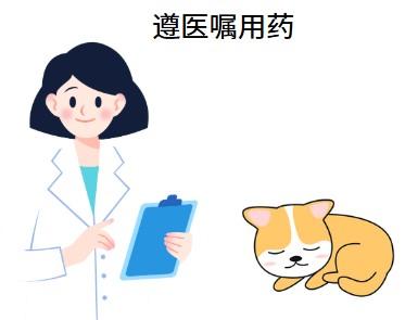 狗狗口炎怎么治疗简单又有效?