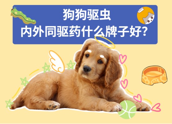 狗狗体内外驱虫药