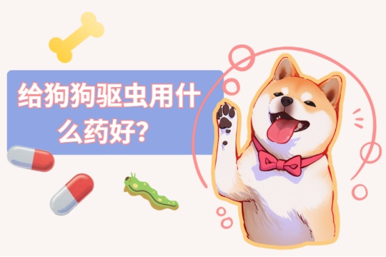 给狗狗驱虫用什么药好?