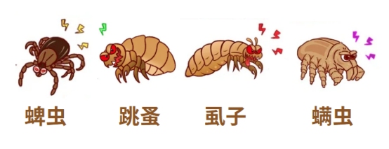 怎么给狗狗驱虫?