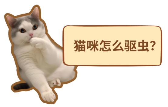 猫咪怎么驱虫?
