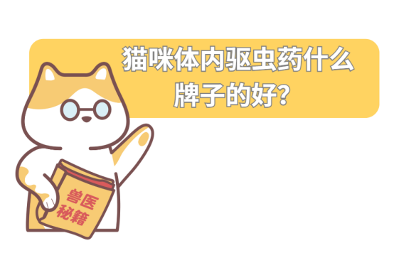 猫咪体内驱虫药什么牌子的好?