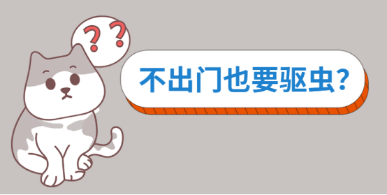 猫多大开始驱虫?