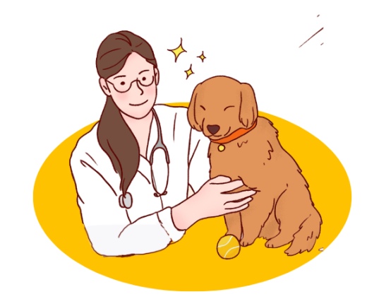 狗狗身上有跳蚤怎么彻底祛除?