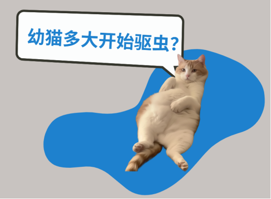 幼猫多大开始驱虫?