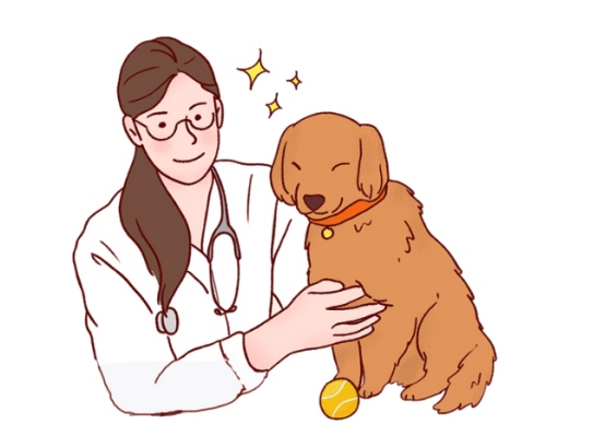小狗多少天开始驱虫?