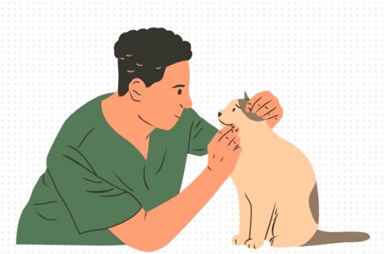 猫咪体内驱虫药