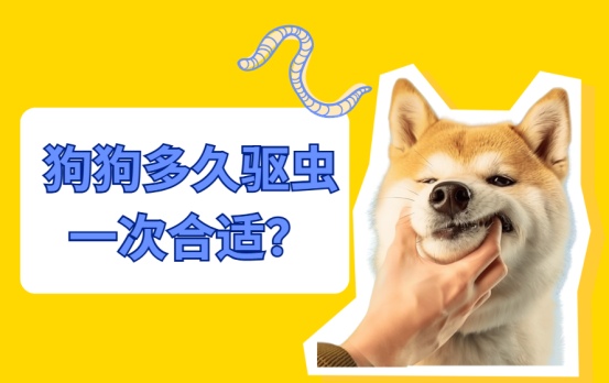 狗狗多久驱虫一次合适?
